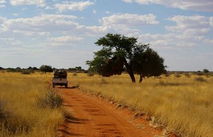 047 Namibia Okt 2006 Game Drive.JPG